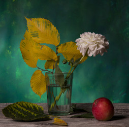 Similar image 2991441