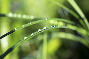 Similar image 2991466