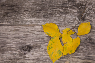 Similar image 2991469