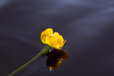 Similar image 2991484