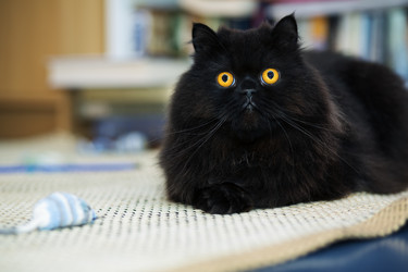 Similar image 2991505