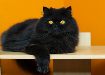 Similar image 2991512