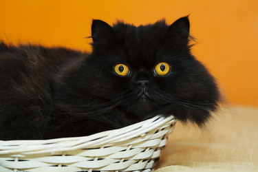 Similar image 2991515