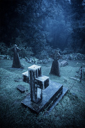 Similar image 2991554