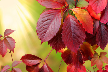 Similar image 2991578