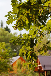 Similar image 2991766