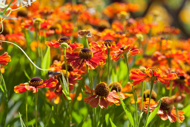 Similar image 2991804