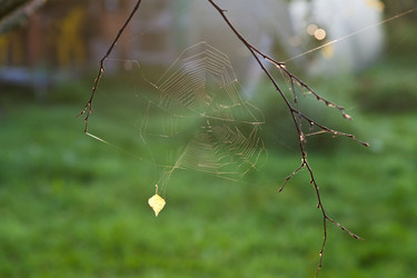 Similar image 2991805