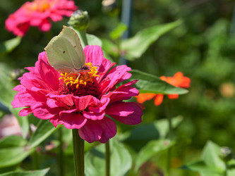 Similar image 2991811