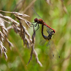 Similar image 2991819