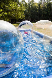 Similar image 2991843