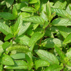 Similar image 2991989