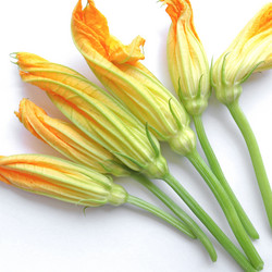 Similar image 2992011