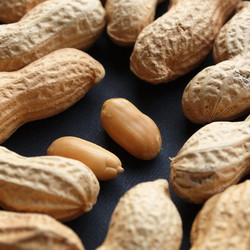 Similar image 2992108