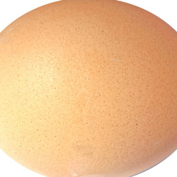 Similar image 2992124