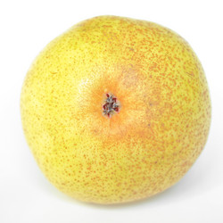 Similar image 2992147