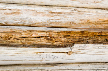 Similar image 2992254