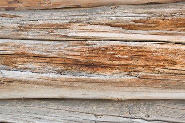 Similar image 2992256