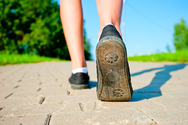 Similar image 2992315