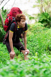 Similar image 2992385