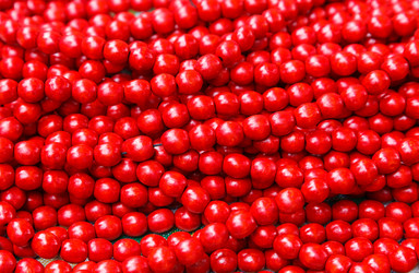 Similar image 2992438