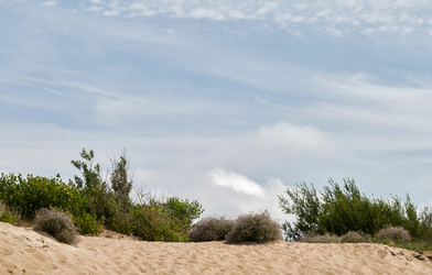 Similar image 2992453