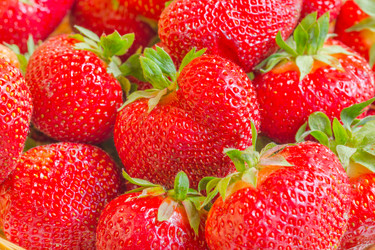 Similar image 2992513