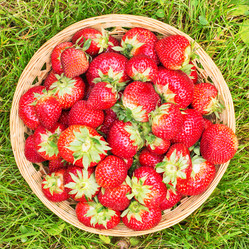 Similar image 2992514