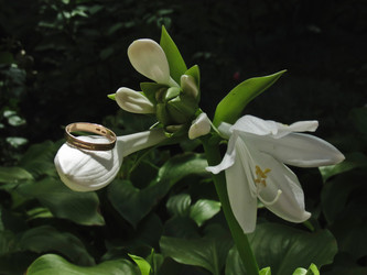 Similar image 2992527