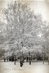 Similar image 2992540