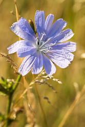 Similar image 2992590