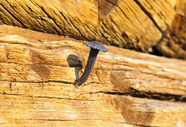 Similar image 2992698