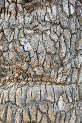 Similar image 2992701