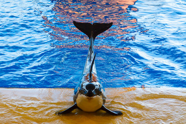 Similar image 2992704