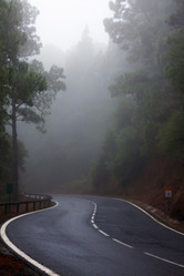 Similar image 2992713