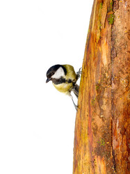 Similar image 2992744