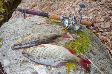 Similar image 2992748