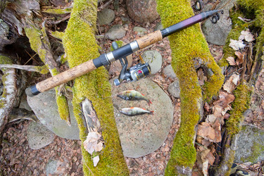 Similar image 2992764