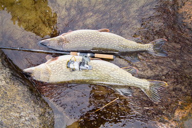 Similar image 2992779