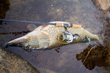 Similar image 2992786