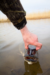 Similar image 2992789