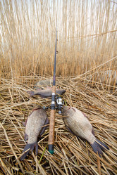 Similar image 2992801