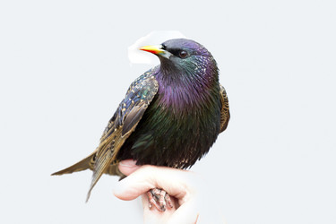 Similar image 2992820