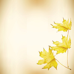 Similar image 2992839