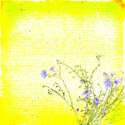 Similar image 2992860