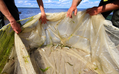 Similar image 2992863