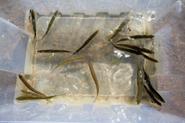 Similar image 2992869