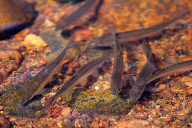 Similar image 2992884