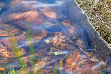 Similar image 2992888