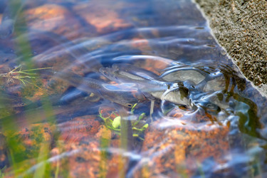 Similar image 2992889